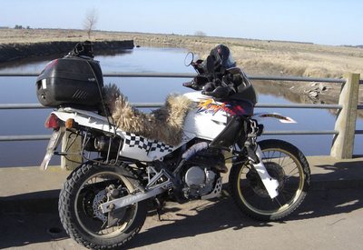 Honda Dominator NX650