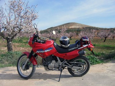 Honda Dominator NX650