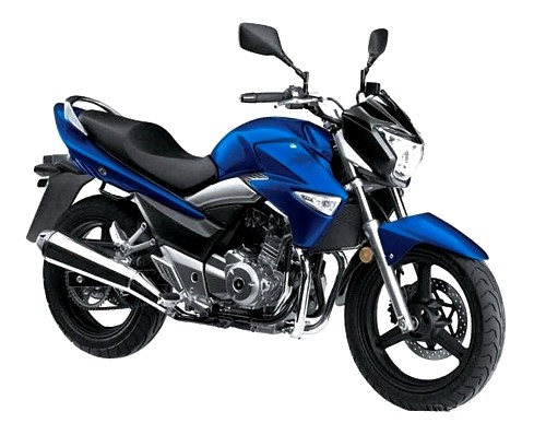 Suzuki GSX250-1200 Inazuma