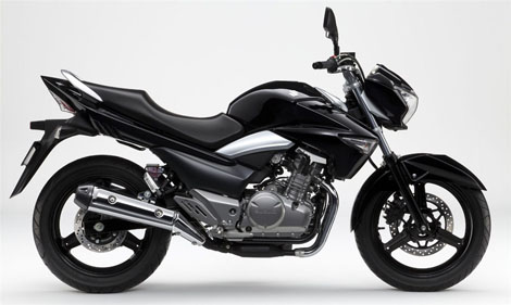 Suzuki GSX250-1200 Inazuma