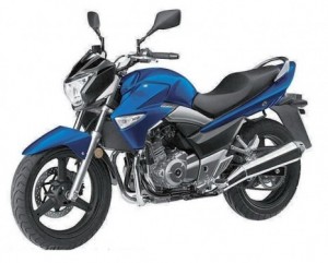 Suzuki GSX250-1200 Inazuma