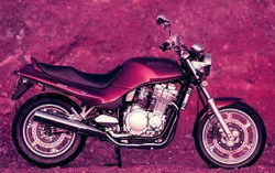 Suzuki GSX1100 F