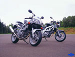 Suzuki SV 650/650S